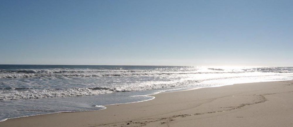 Seawinds II Otel Dennisport Dış mekan fotoğraf